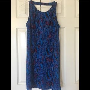 Express Blue Dress
